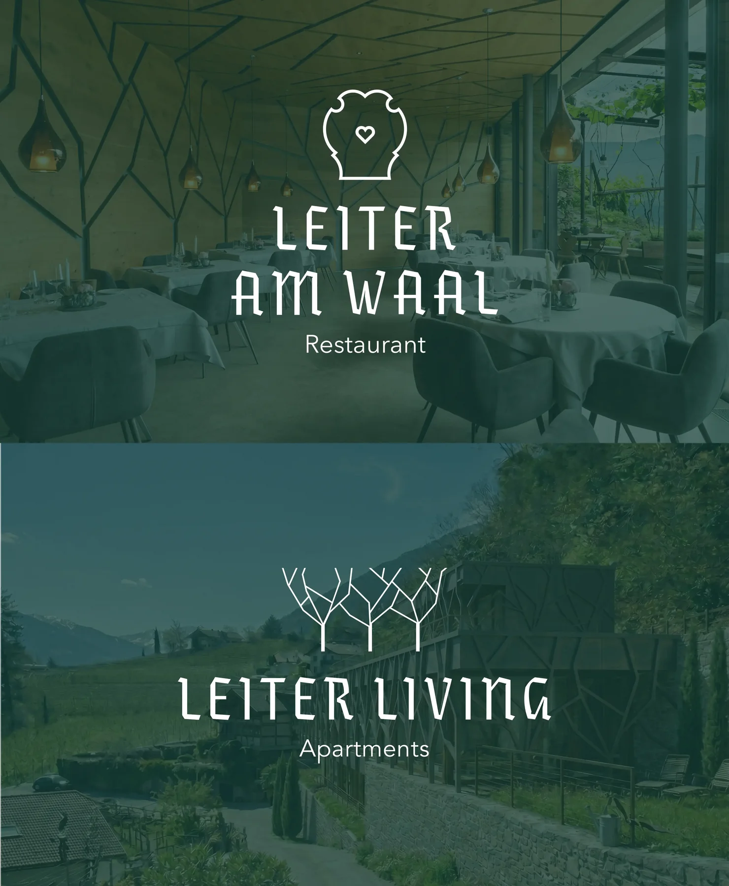 Leiter am Waal